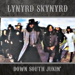 Lynyrd Skynyrd - Down South Jukin'