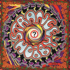 Lucassen, Arjen Anthony - Strange Hobby