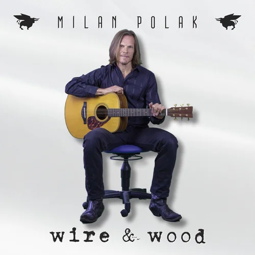Polak, Milan - Wire & Wood (US Import)