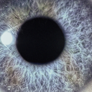 Swan� Dan - Moontower (Re-issue)