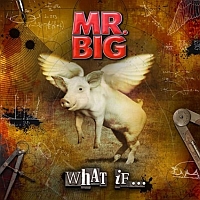 Mr. Big - What If ...