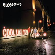 Bloosoms - Cool like you